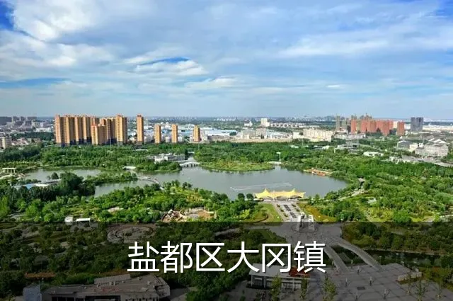 盐都区大冈镇