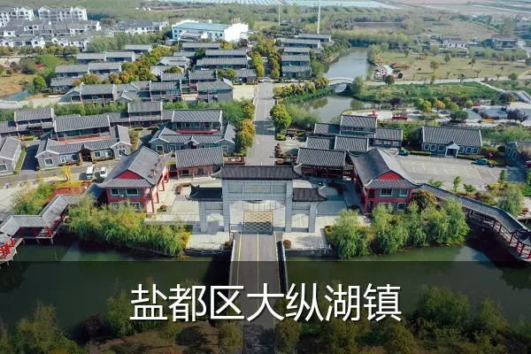 盐都区大纵湖镇