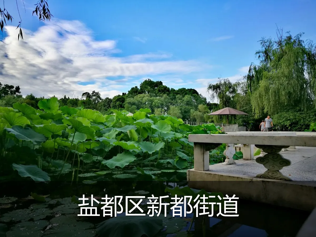 盐都区新都街道