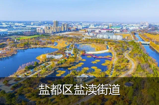 盐都区盐渎街道