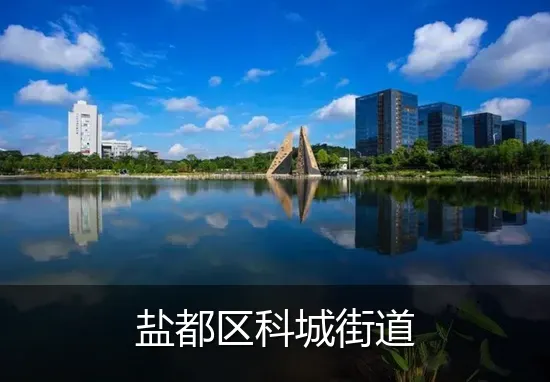 盐都区科城街道